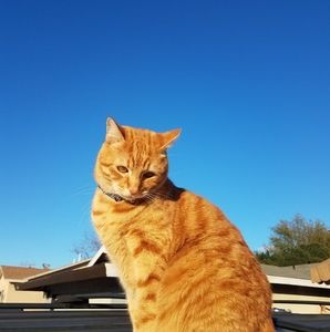 Meet your Posher, Karina